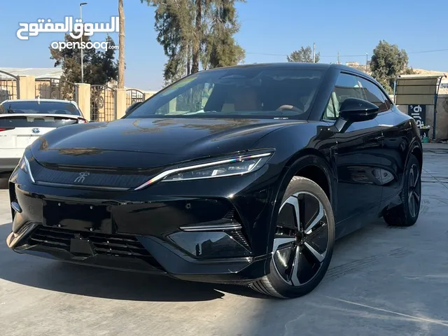 BYD SONG L EXCELLENT 2024