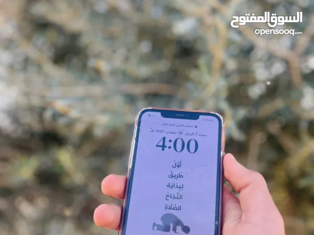 Apple iPhone 11 Pro Max 256 GB in Tripoli