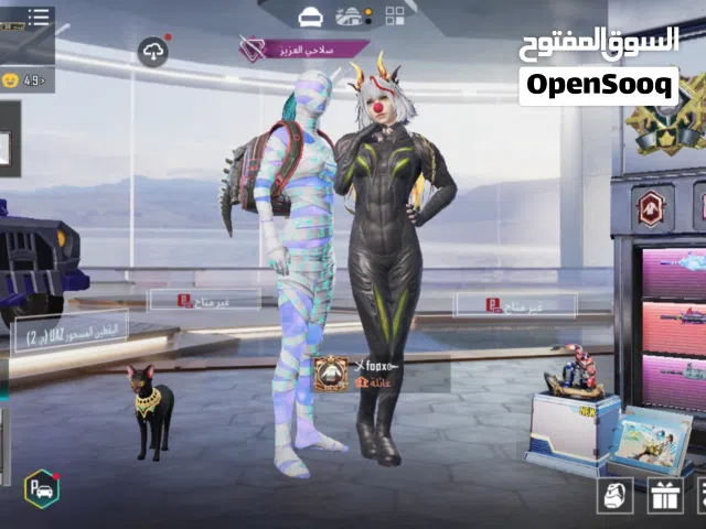 Pubg Accounts and Characters for Sale in Irbid