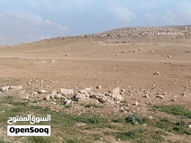 Residential Land for Sale in Zarqa Al Hashemieh