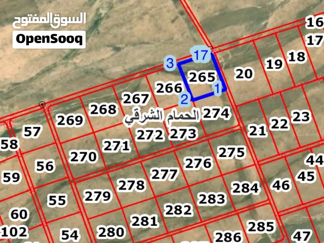 شارع المطار جنوب عمان الحمام الشرقي 10 دونم كوشان مستقل