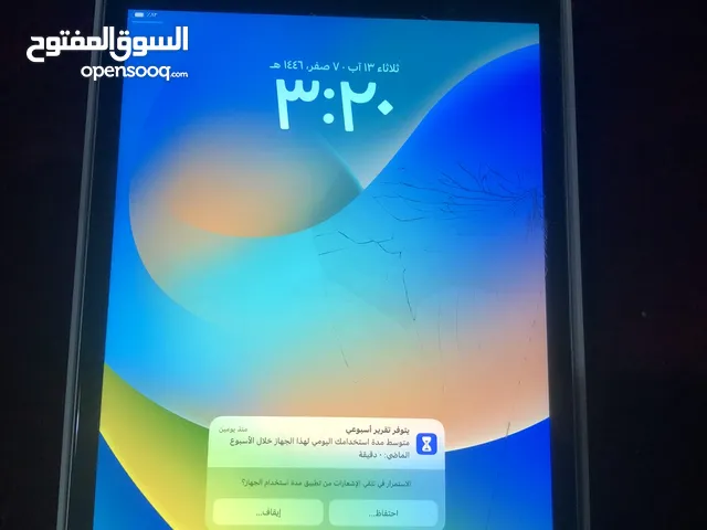 ايباد ابل الجيل التاسع استعمال قليل