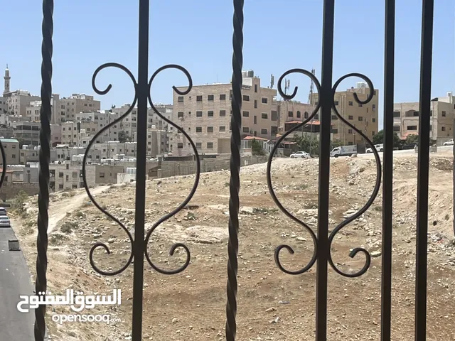 حديد حمايه