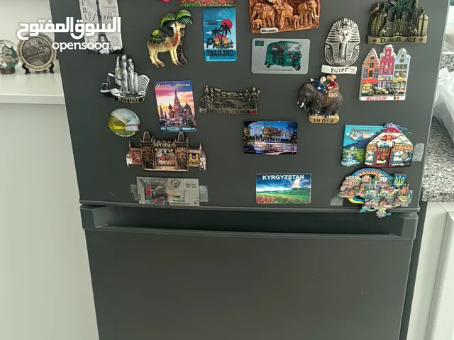 Fridge Refrigerator