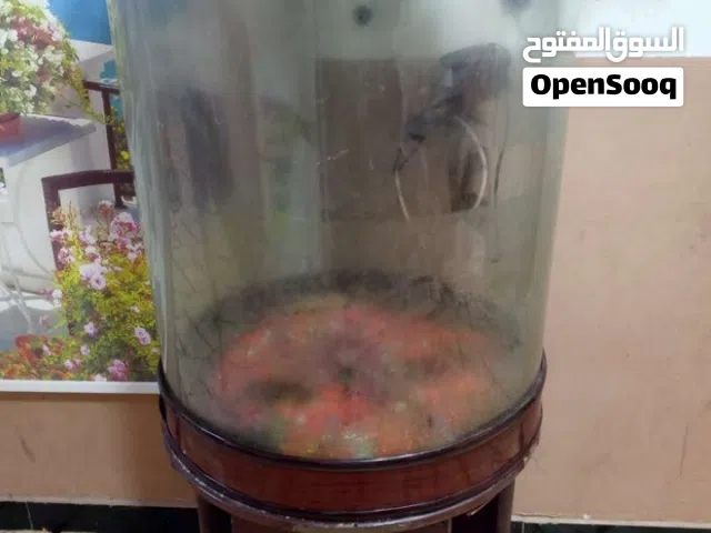 حوض مال سمك الطول متر كامل نضيف كلش مابي السعر 80بي مجال الشراي