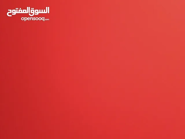 دينمو كيا لوتزي