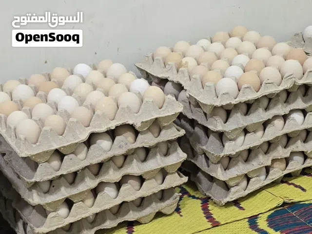 للبيع يوجد لدينا بيض عماني كميات كبيره طازج ميه ميه لي الاكل  فيه الصحه والعافيه  ويصلح للحريمه والع