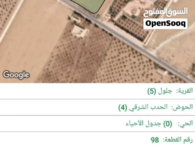 Farm Land for Sale in Amman Other