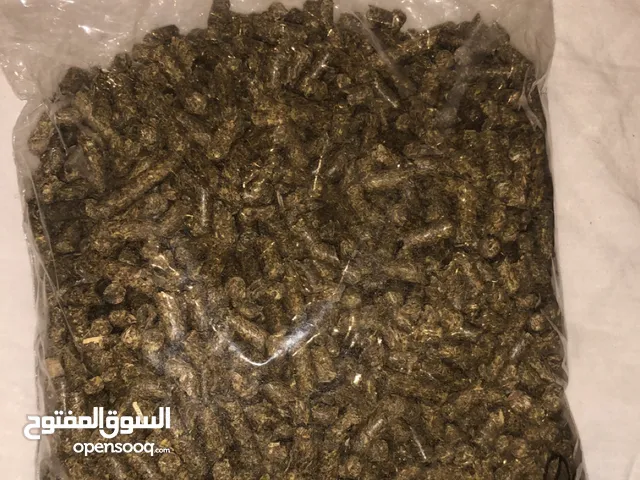 آكل ارنب علف
