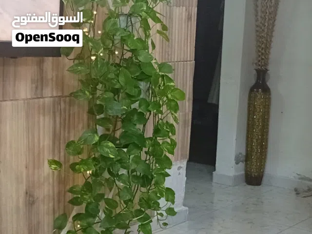 ادوات زينه للمكتب