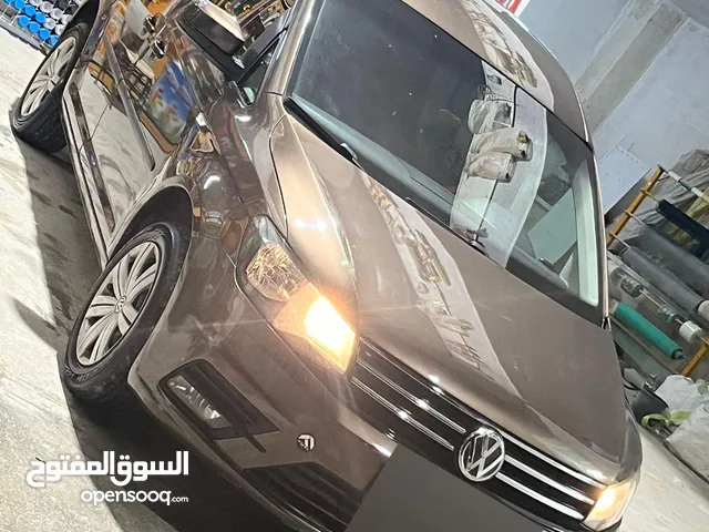 كادي شصي قصير