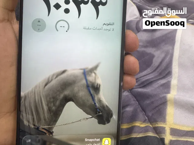 Apple iPhone 15 Pro Max 256 GB in Southern Governorate