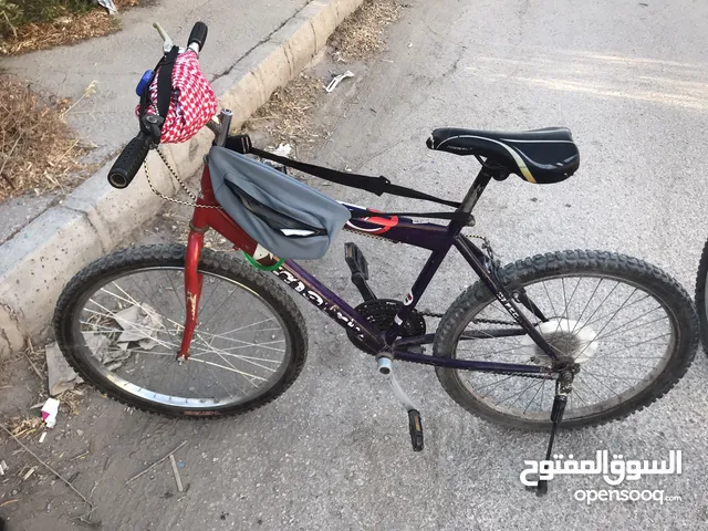 بسكليت جبال