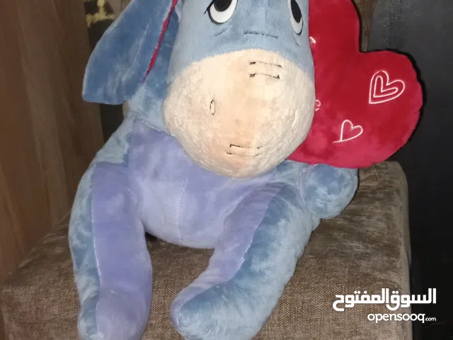 دب الحجم كبير