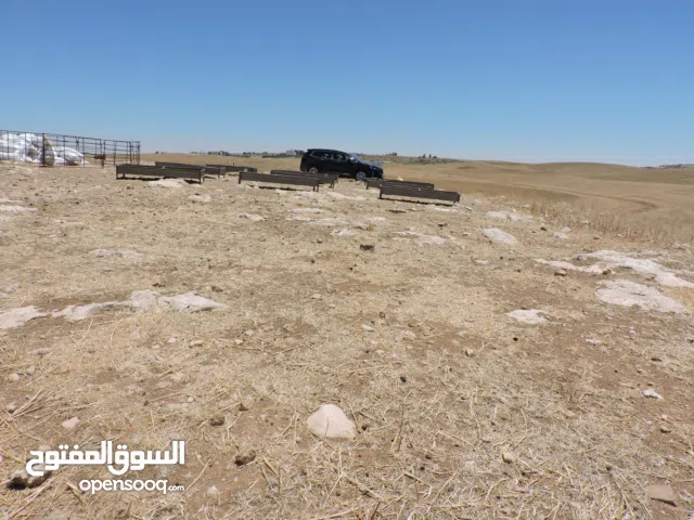 أرض قوشان مستقل قريب جدا من الجامعة الامريكية