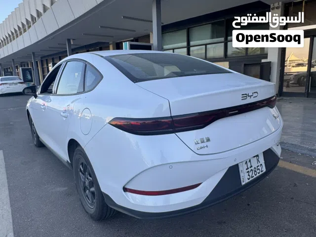 2025 بي واي دي كين