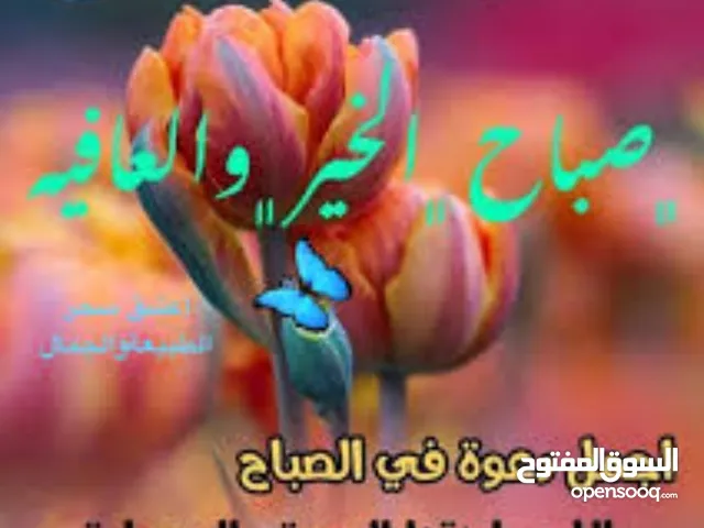 محتاج لتمويل شركه مقاولات لديها اعمال في طرابلس