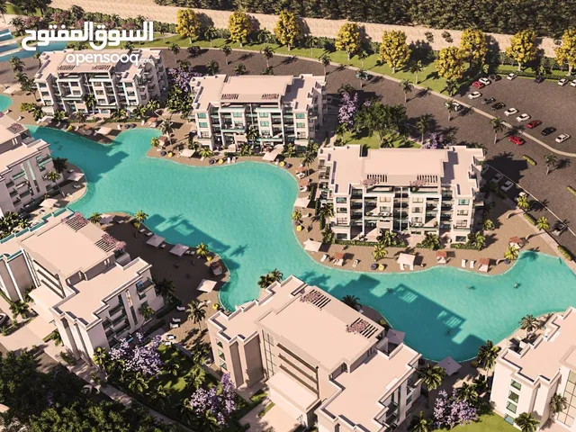 42 ft 3 Bedrooms Apartments for Sale in Matruh Alamein