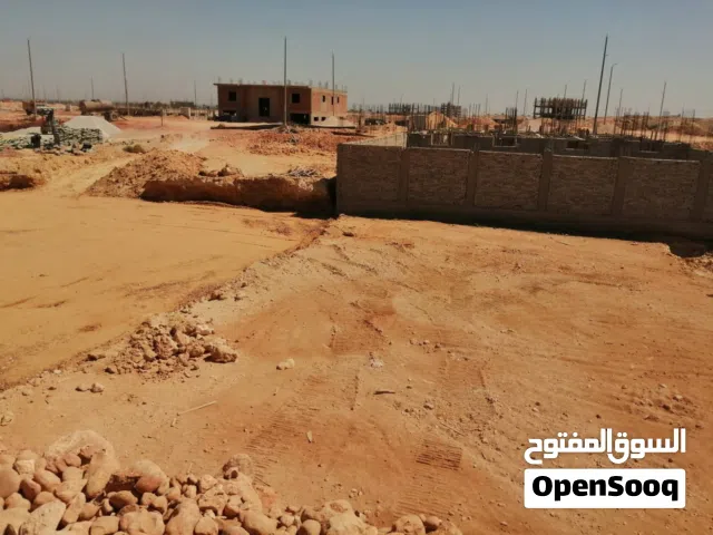 شاب مصرى خبره ف إدارة العقار من تأجير وصيانه وتخليص معاملات وزارة الكهربا والماء  يطلب عمل  حارس عقا