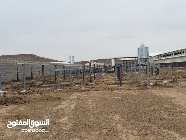 مقولات هناجر وقواعد المنظومات الشمسيه