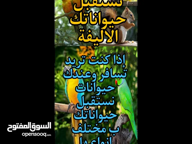 إذا كنت تبغى تسافر نقدر نعتني ب حيواناتك شوف الوصف
