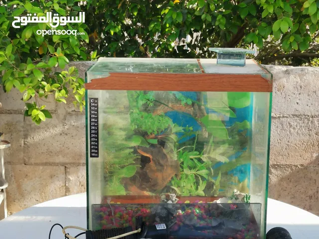 متاح حوض سمك للبيع بسعر مناسب