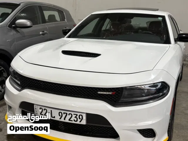 جارجر 2022 امريكي قطعه صبغ