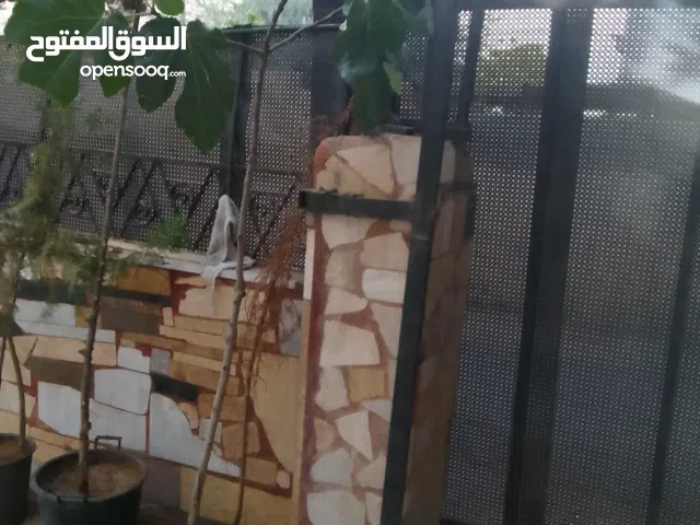 شجرة تين عمر تقريبا 8سنوات  موجودة بالقارورة مثمرة نوع خضاري للبيع بسعر مغري