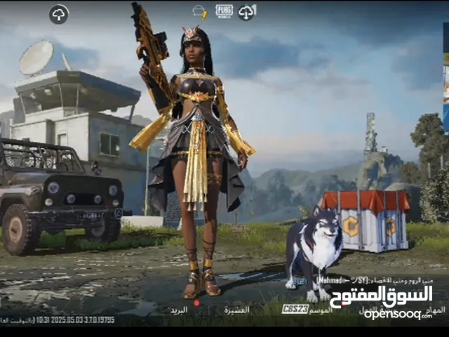 Pubg Accounts and Characters for Sale in Wasit