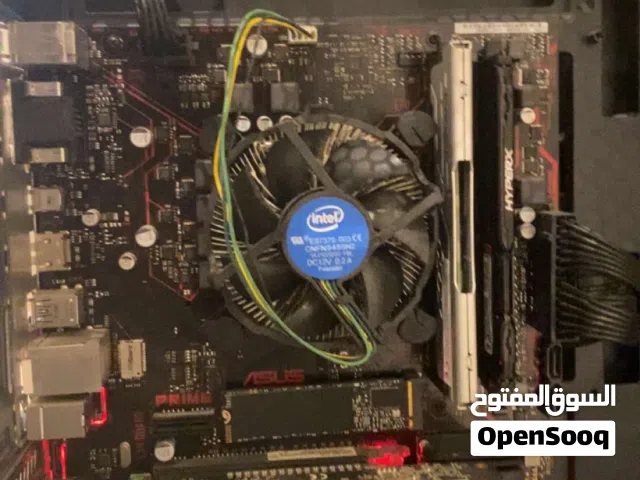 بيسي سعره زين و مناسب