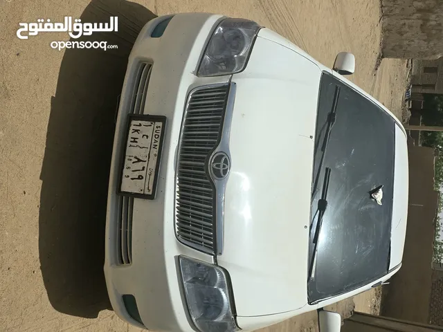 كوريلا سهم زهبي