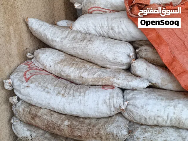 تمر نفيعه جواني ابو دلة