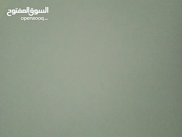 مطلوب عجل نمساوي اصل او تهجين للتربيه وسعر مناسب