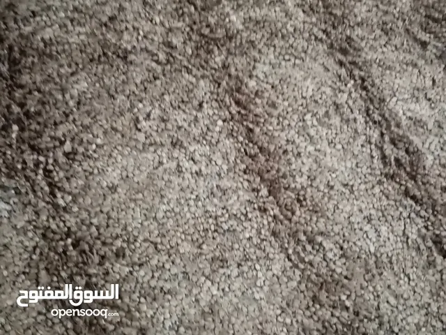 سجادة شاقي