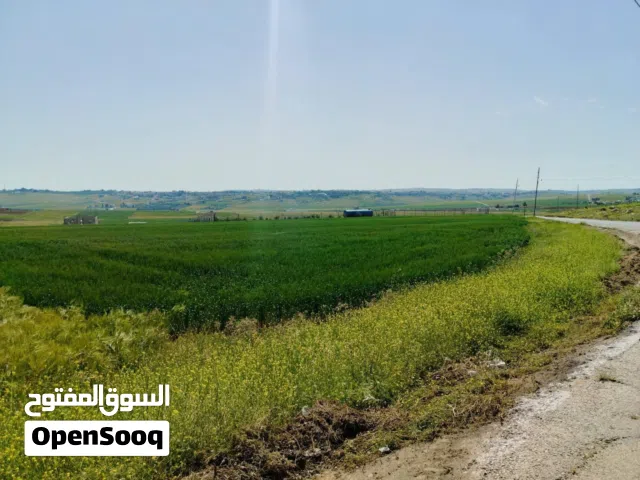 Mixed Use Land for Sale in Madaba Thiban