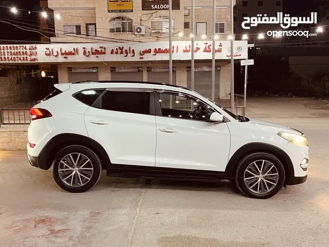 توسان فل الفل مع بانوراما