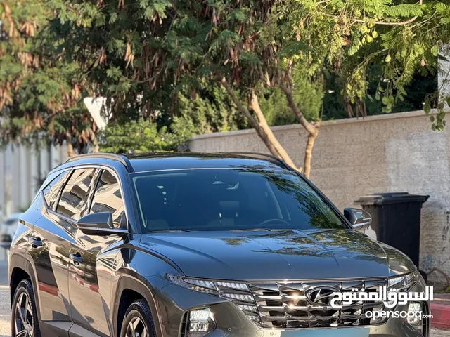 توسان ترخيص2023.فل عدا فتحه .فحص نخب.هايبرد..رام لله او الخليل.