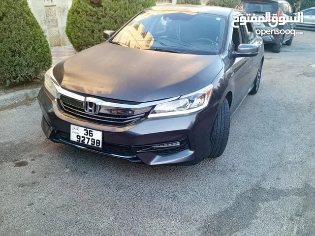 Used Honda Accord in Amman