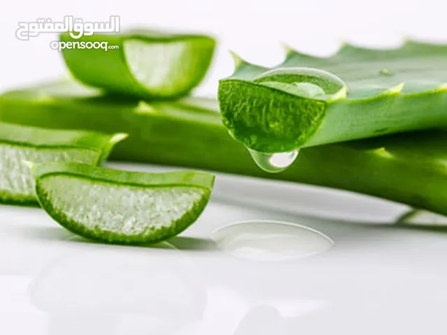سر الجمال الطبيعي الأولوفيرا الأصلية من عندنا عروق الأولوفيرا وزن 500 جرام
