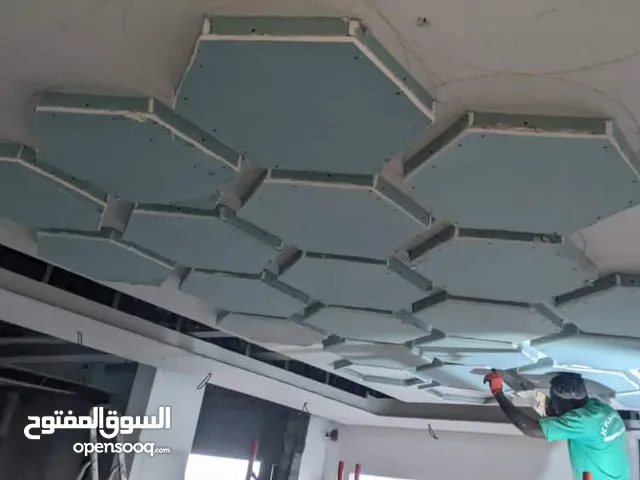 interior designer with gypsumboard for homs