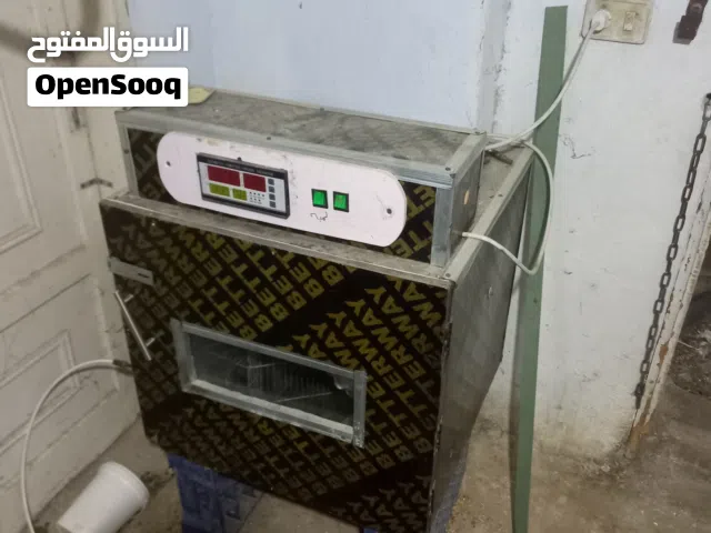 فقاسه 147 بيضه