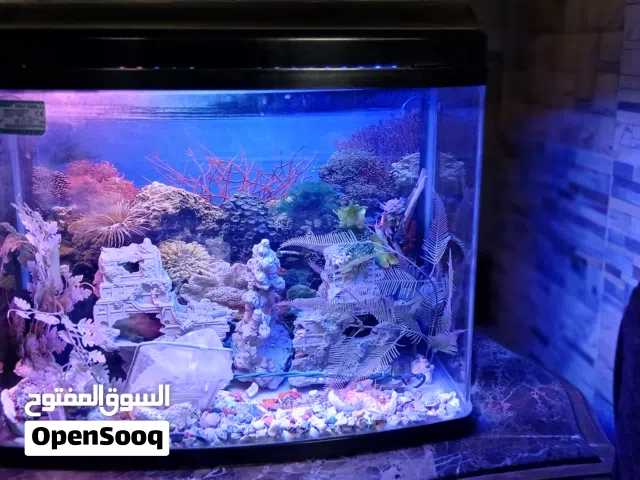 حوض سمك مستورد من الخارج 60 سم