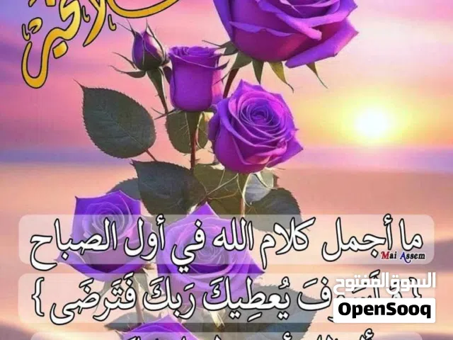 شركات جاهزه للبطاقات بالفيزا ل 50,000 دولار