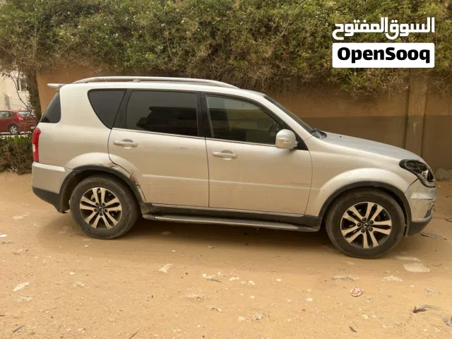 2013 سانغ يونغ اخرى