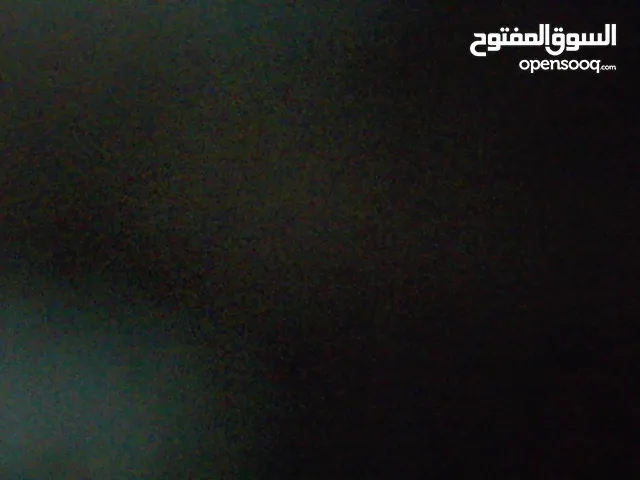 Others Others in Mafraq