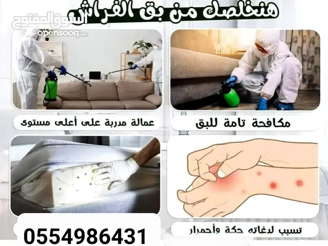 القضاء على جميع الحشرات