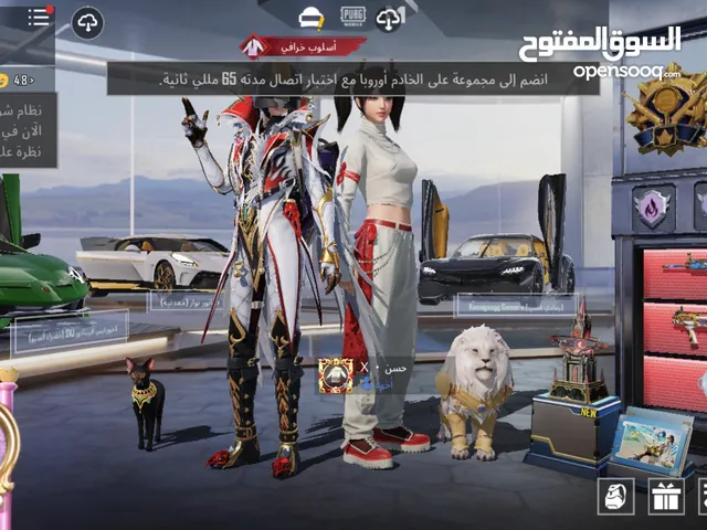 Pubg Accounts and Characters for Sale in Amman