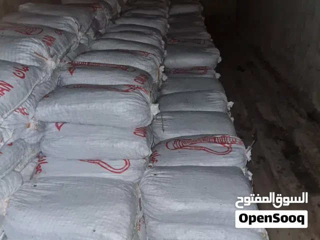 تمر نفيعة جديد