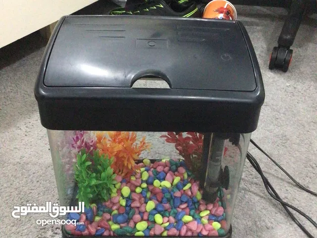 حوض سمك صغير للغرفه او الصاله