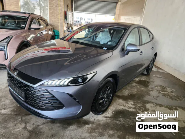2025 بي واي دي كين